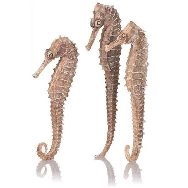biOrb Hypocampe naturel par 3 - Décoration Hippocampe Biorb