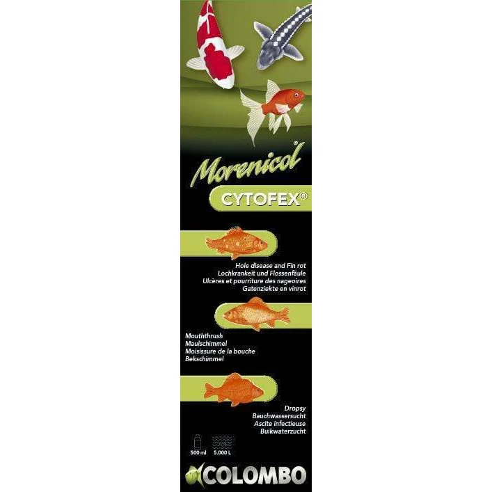 Cytofex 500ml/5.000litres - Contre les infections bactériennes - Morenicol Colombo