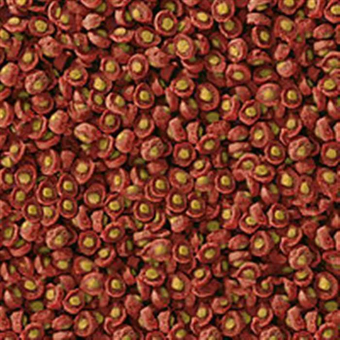 SERA KOI PROFESSIONAL PRINTEMPS/AUTOMNE 500G
