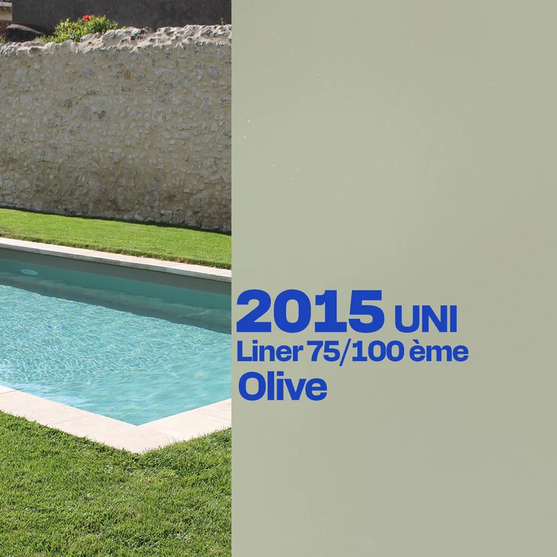 Liner Dreamliner 2015 verni piscine sur mesure