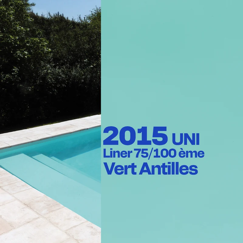 Liner Dreamliner 2015 verni piscine sur mesure