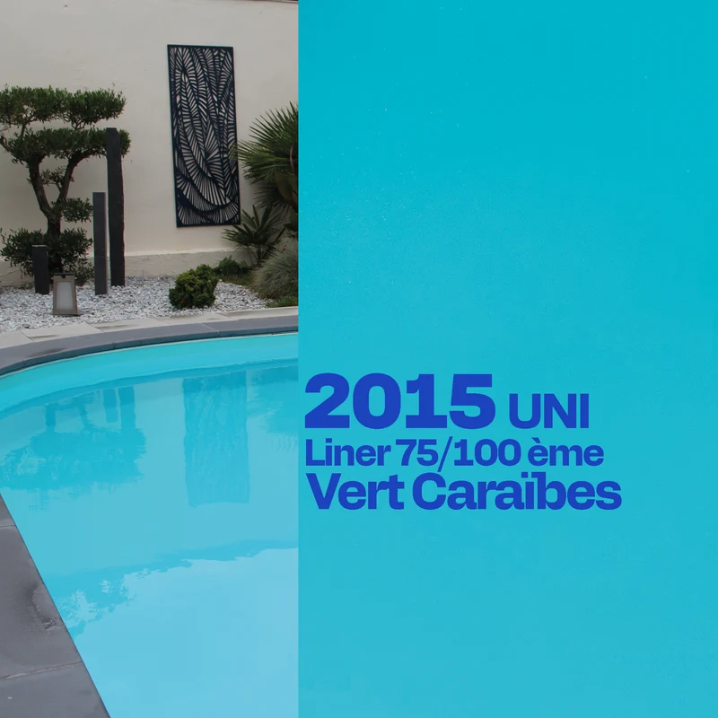 Liner Dreamliner 2015 verni piscine sur mesure