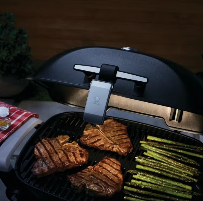 Lâmpada grill n' go para série Q1000N/Q2000N Weber