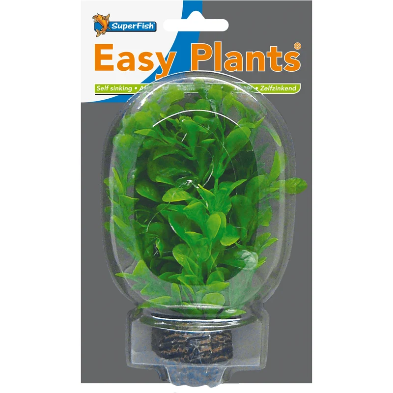 SF Easy Plant petite N°8 (13cm)
