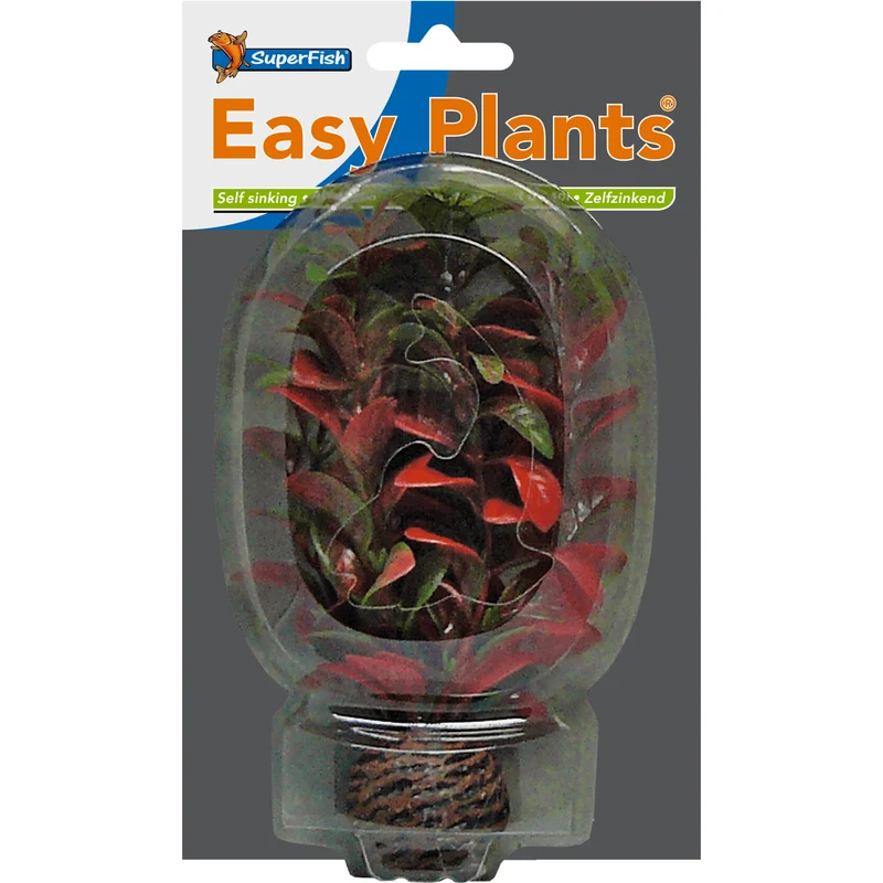 SF Easy Plant petite N°7 (13cm)