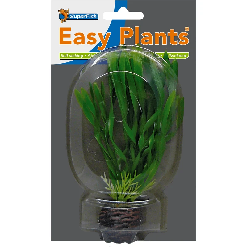 SF Easy Plant petite N°6 (13cm)