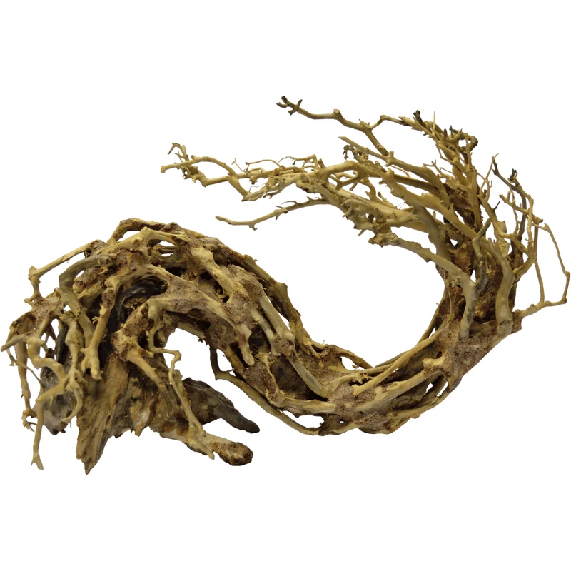 Bonsai Wave L
