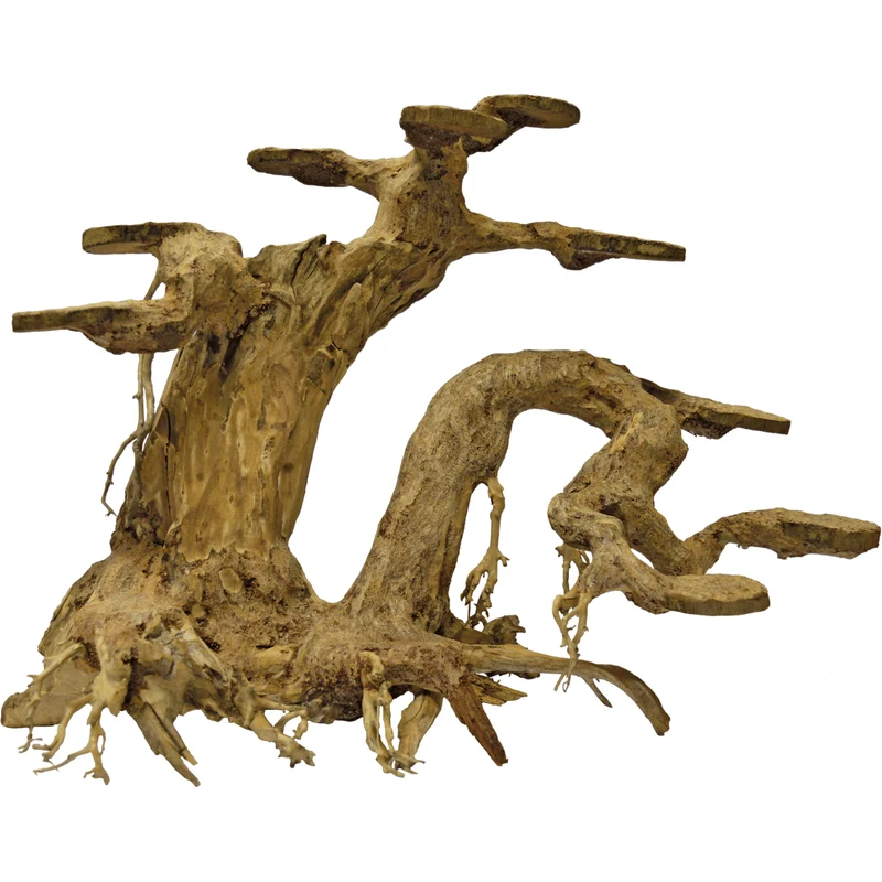 Bonsai Planter L