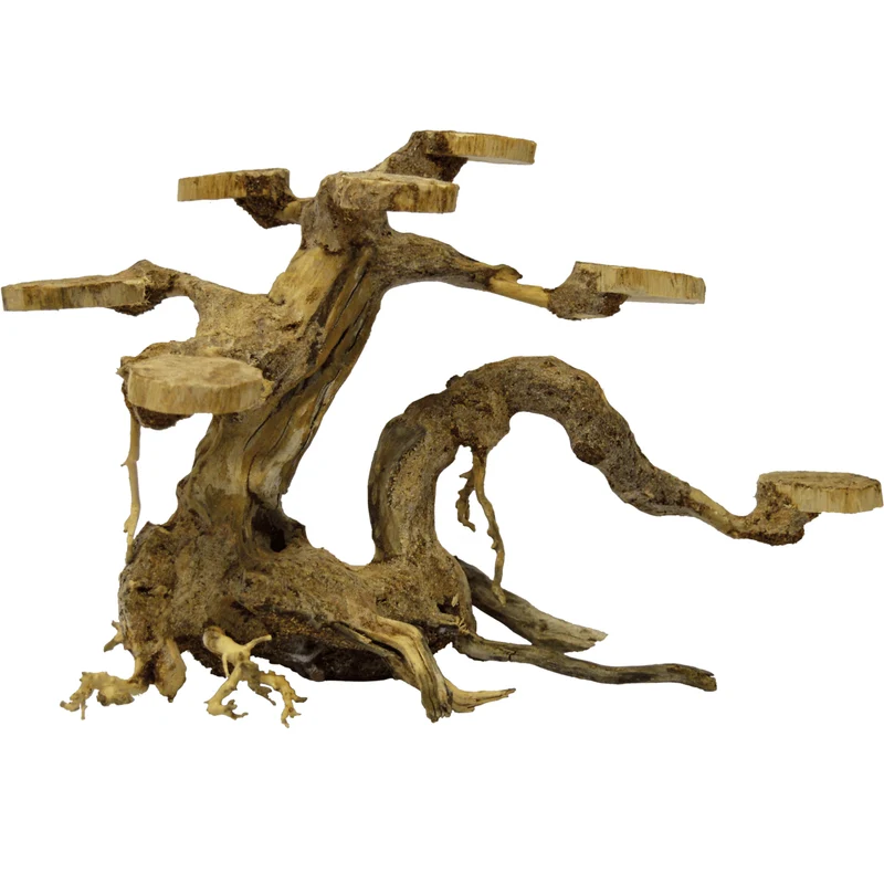 Bonsai Planter S