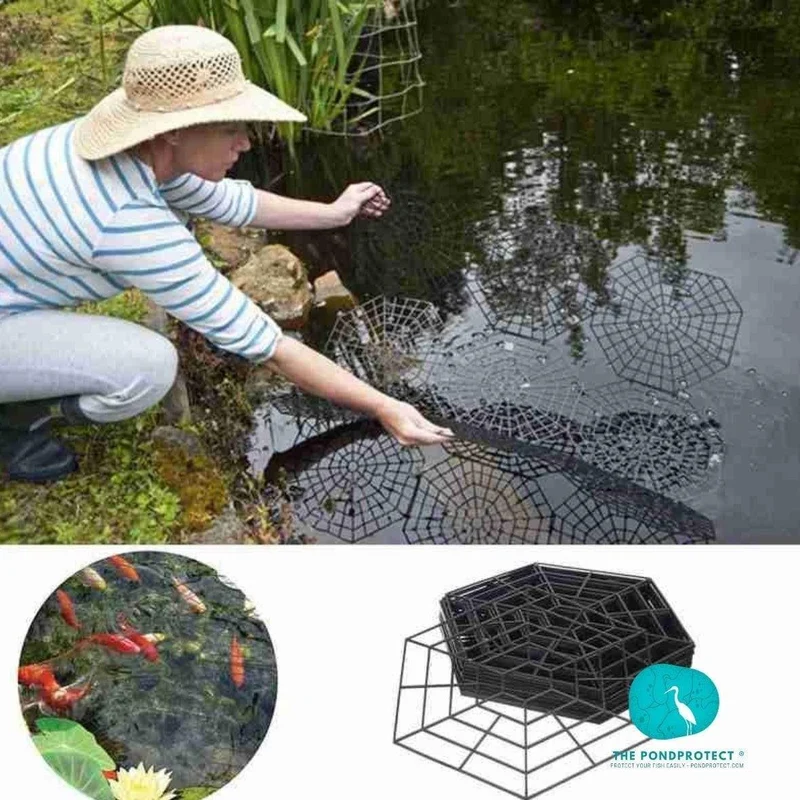 PondProtect - Barriere flottante "toile d'araignée" - Pack de 10pièces - Solution efficace contre les hérons