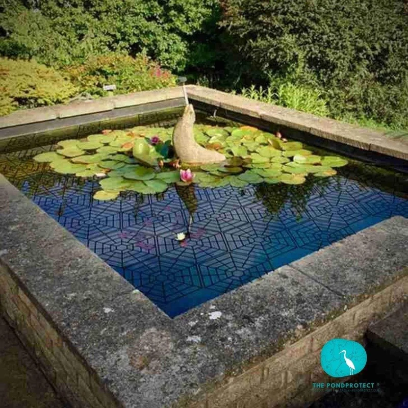 PondProtect - Barriere flottante "toile d'araignée" - Pack de 10pièces - Solution efficace contre les hérons