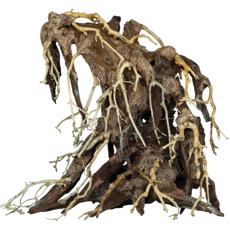 Bonsai Root M