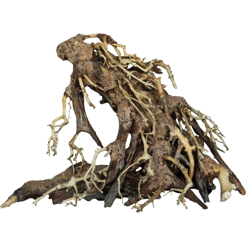 Bonsai Root S