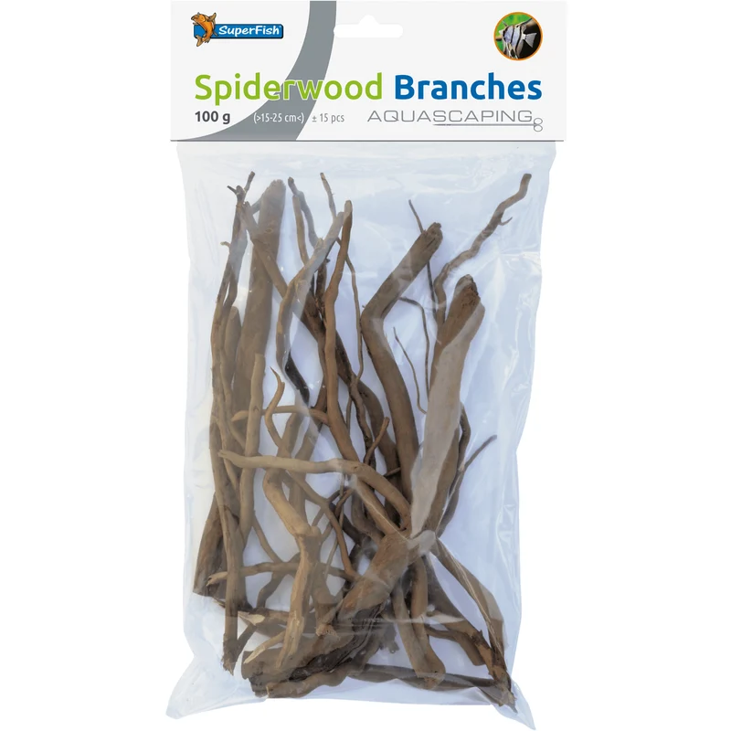 Racine Araignée Branches