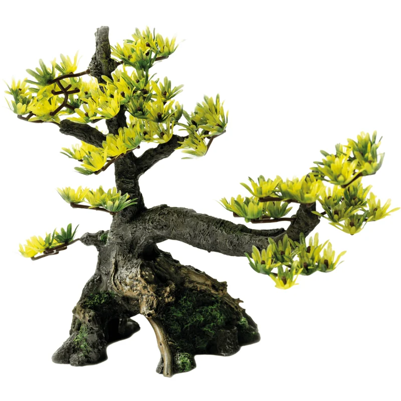SF Deco Bonsai M
