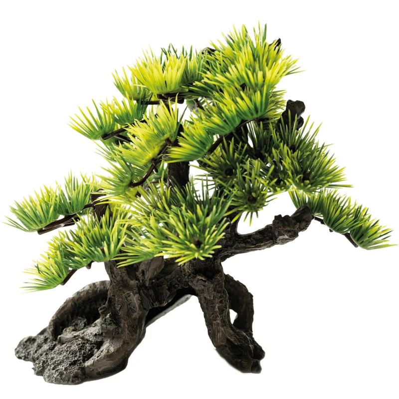 SF Deco Bonsai S