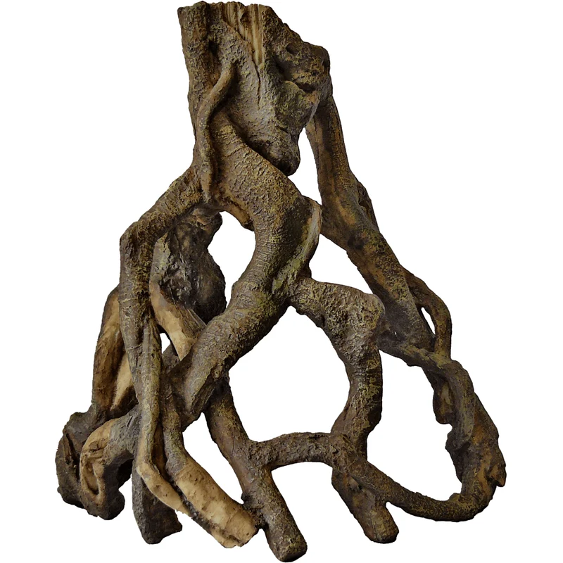 Mongrove Root L