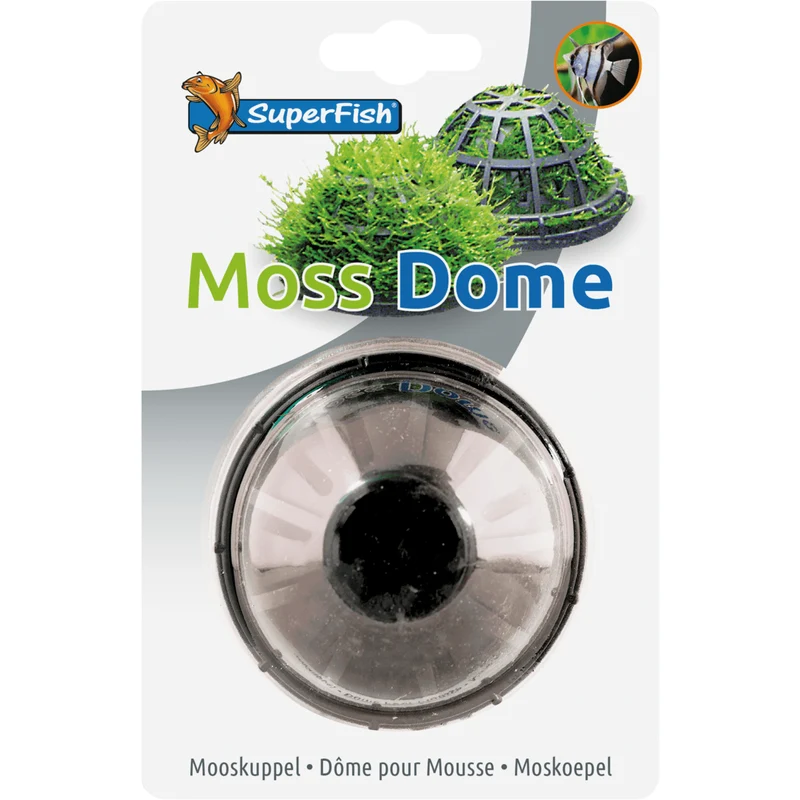 SF Dôme pour mousse