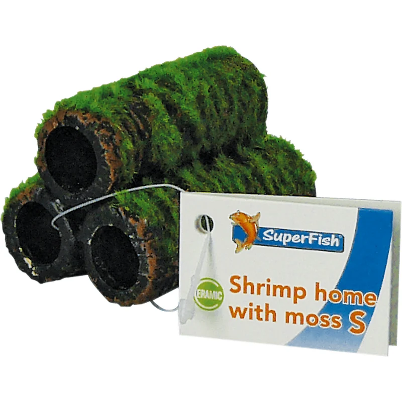 SF Shrimp Home Crevette avec mousse S