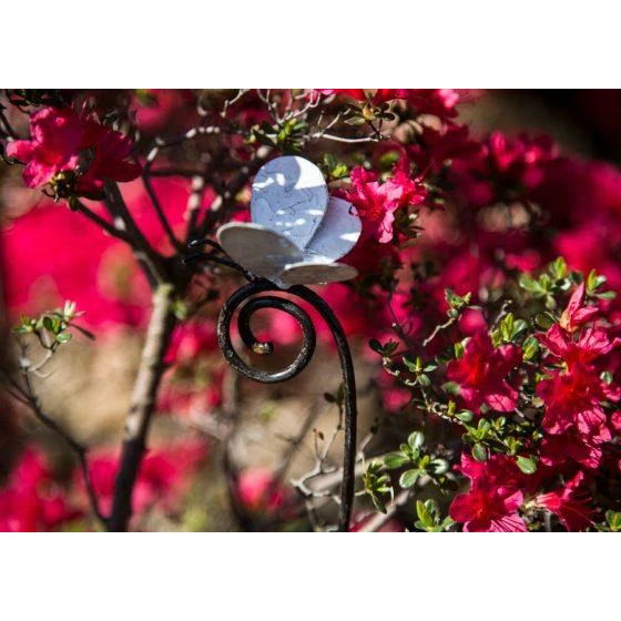 Tuteur Papillon Blanc - Oiseau décoratif en métal recyclé