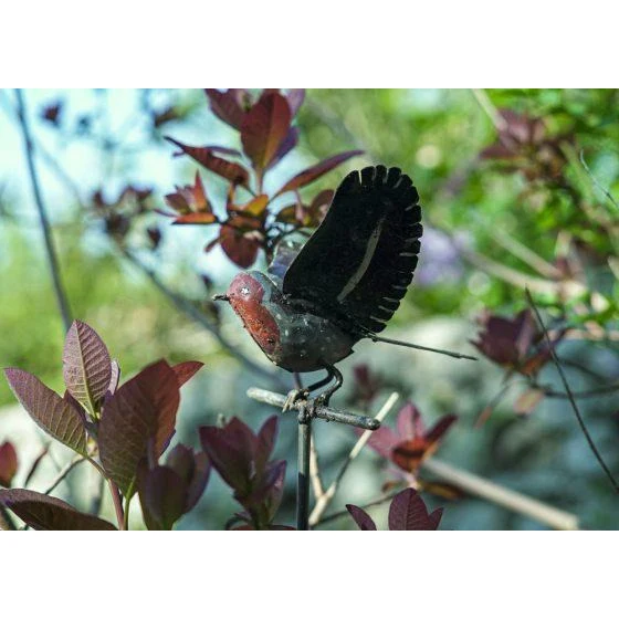 Tuteur Rouge gorge ailes ouvertes - Oiseau décoratif en métal recyclé