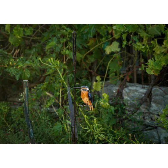 Tuteur roseau Martin pêcheur - Oiseau décoratif en métal recyclé