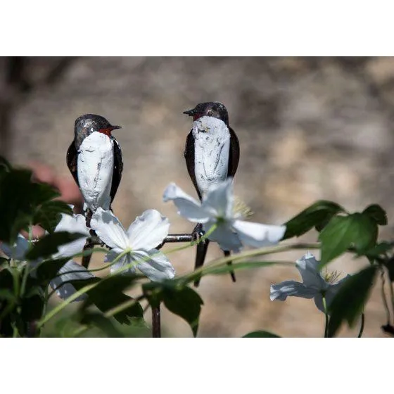 Tuteur 2 Hirondelles - Oiseau décoratif en métal recyclé