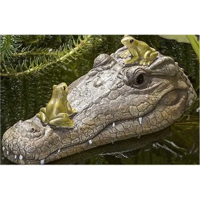 Crocodile flottant avec grenouilles pour étang 29CM