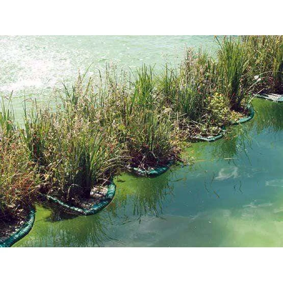 Île flottante pour plantes aquatiques rectangle 121CM x 43CM