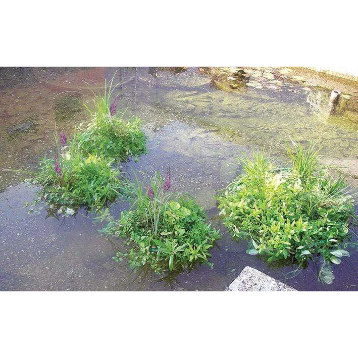Île flottante pour plantes aquatiques rond 61CM