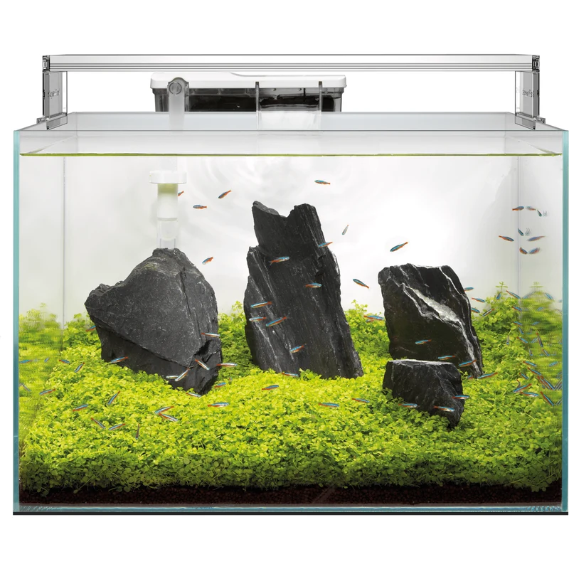 Aquarium Scaper 60 - 60L - Superfish