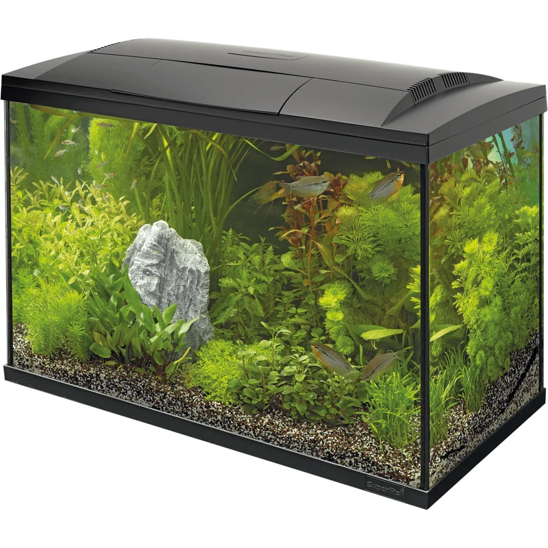 Aquarium Start 150 Tropical Kit Noir - 146L - Superfish