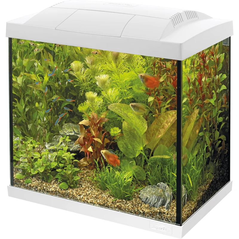 Aquarium Start 50 Tropical Kit Blanc - 45L - Superfish