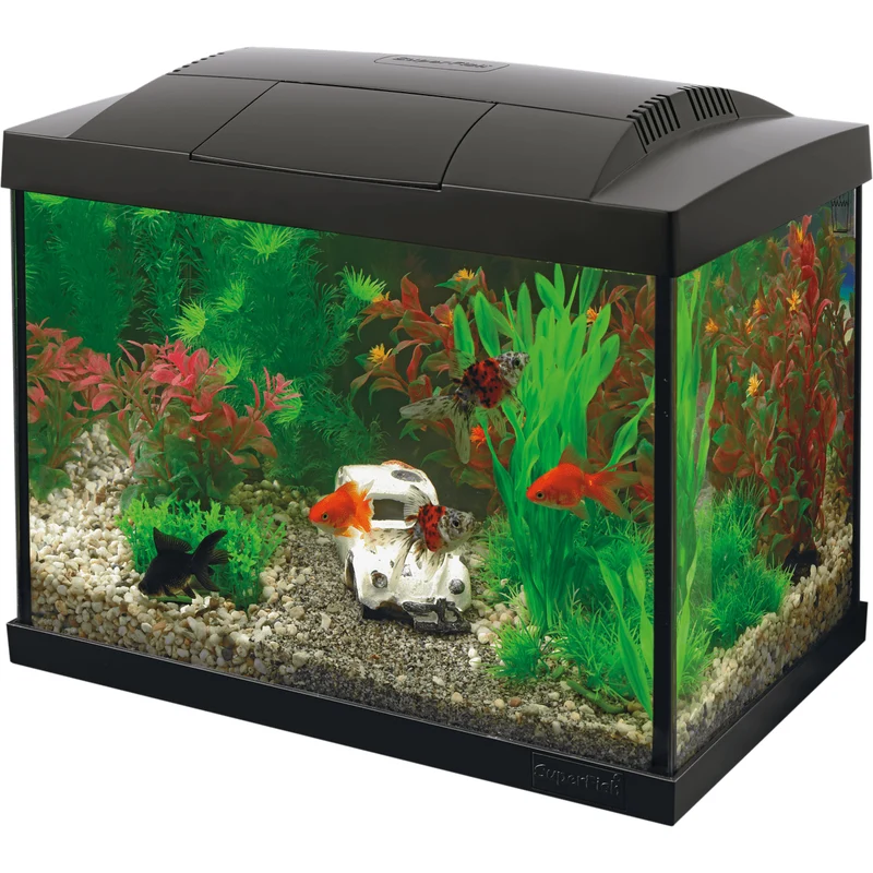 Aquarium Start 20 Goldfish Kit Noir - 20L - Superfish - Aquarium Kit Complet