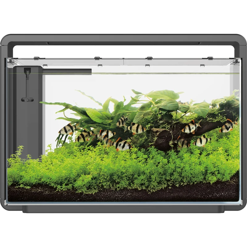 Aquarium Home 65 Noir - 60L - Superfish