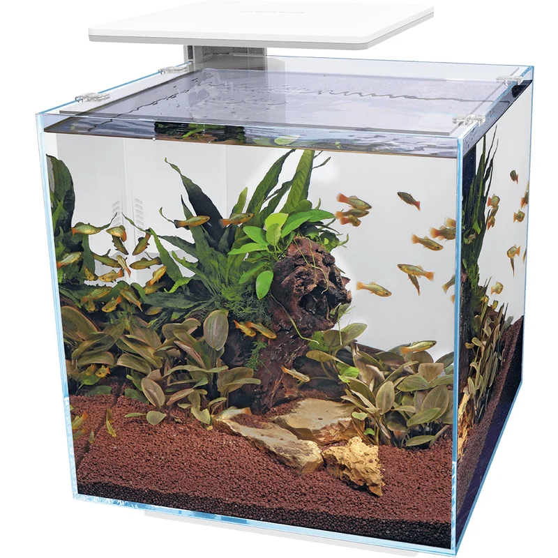 Aquarium QubiQ 60 PRO Blanc - 60L - Superfish