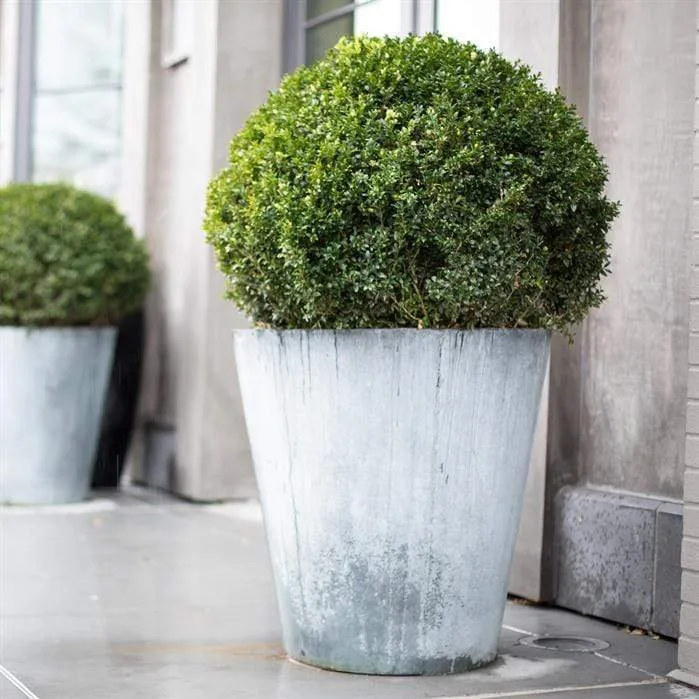 Jardinière en acier galvanisé - Vaza 0.8m x 0.8m