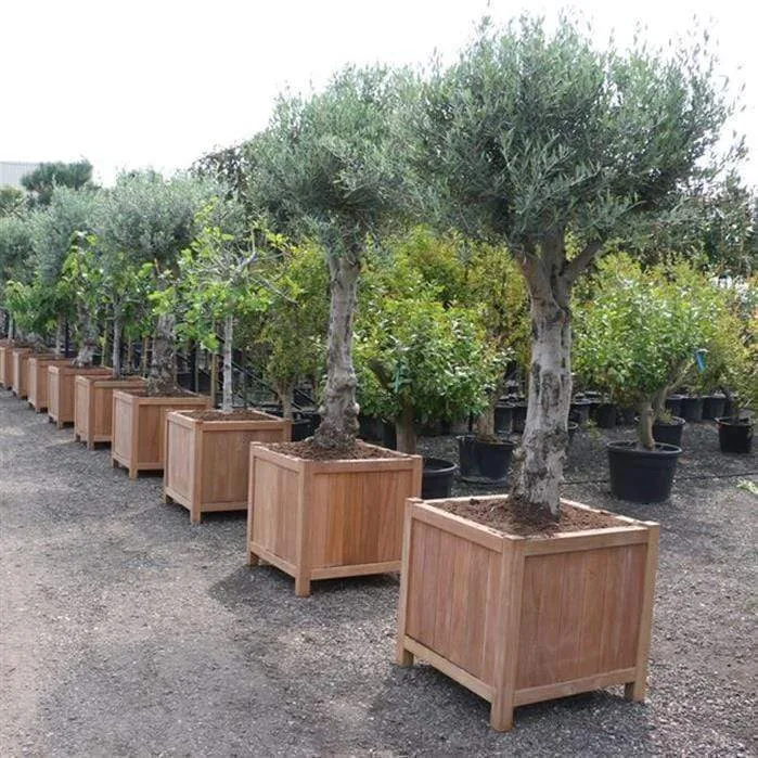 Jardinière en bois exotique - Valencia 0.8m x 0.8m x 0.8m