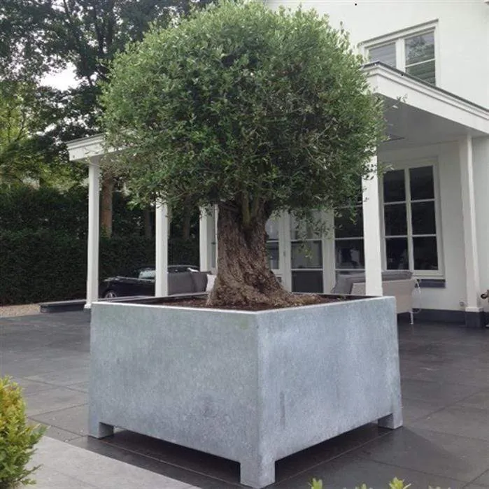 Jardinière en acier galvanisé - Vadim 1.2m x 1.2m x 0,8m