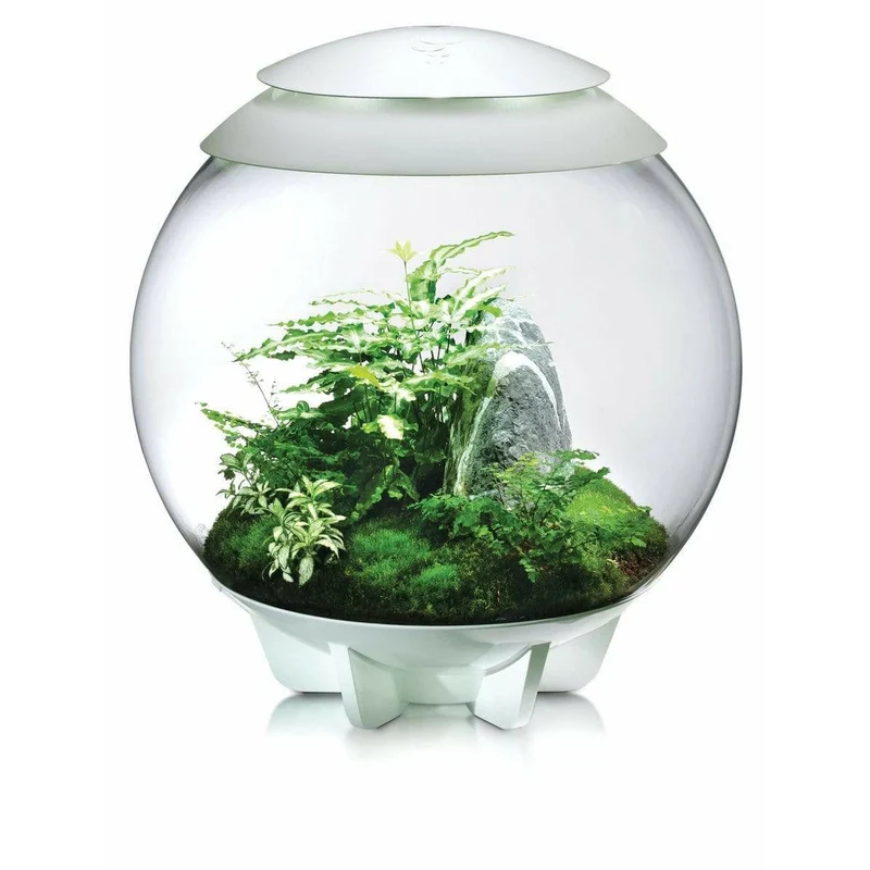 Terrarium biOrb AIR 60 blanc - 60L