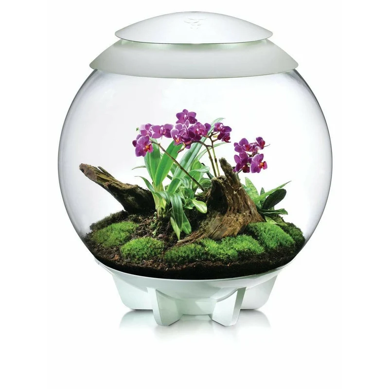 Terrarium biOrb AIR 60 blanc - 60L