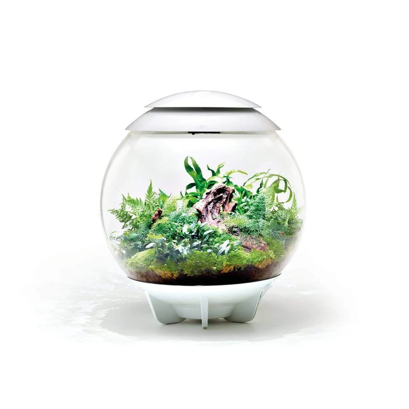 Terrarium biOrb AIR 60 blanc - 60L