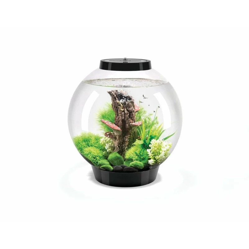 Aquarium biOrb CLASSIC 30 MCR noir - 30 litres