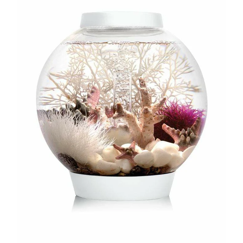 Aquarium biOrb CLASSIC 15 LED blanc - 15 litres