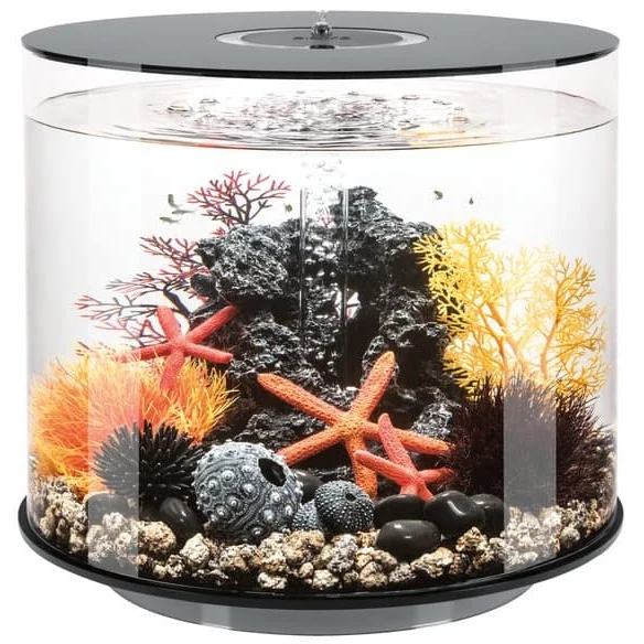 Aquarium biOrb TUBE 35 MCR noir - 35 litres