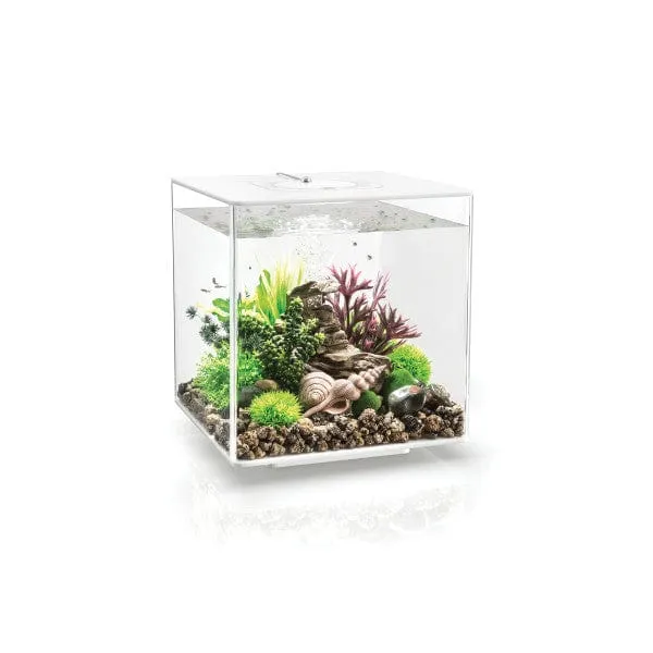 Aquarium biOrb CUBE 30 MCR noir - 30 litres
