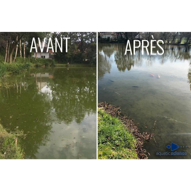 Clean-Lac 12kg pour 800m² - Bactéries pour étang naturel - Eau claire & réduction de la vase et des algues