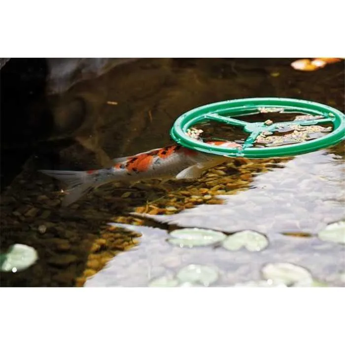 PondoFeed Ring - Anneau de nourrissage flottant