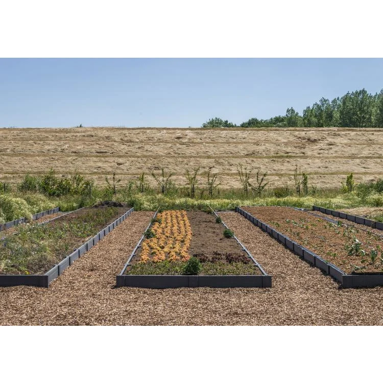 Ecoplanc profil creux - 200CM x 22CM x 4CM - Profil pour jardin ECOO