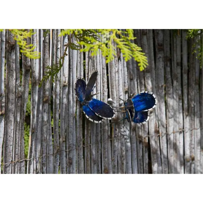 PAPILLON AZURÉ DU MIDI A FIXER